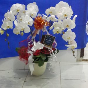 Bunga Meja = 247
